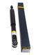 Амортизатор задній Raiso (Швеція) Honda Civic 8 Хонда Цивік 8 #RS317351 UARUOGK4 RS317351 фото 1