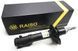 Амортизатор передній Raiso (Швеція) Фольксваген Пассат Б4 Volkswagen Passat B4 #RS170160 UAFZCNS8 rs-2210 фото 1