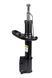 Амортизатор передний Raiso (Швеция) Dacia Lodgy, Дача Лоджи 12- #RS315264 UACIVTD4 RS315264 фото 2
