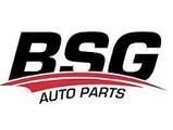 BSG