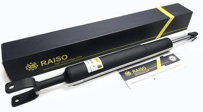 Амортизатор передний Raiso (Швеция) Ауди А6 С6(Ц6) Audi A6 C6 #RS312638 UANNPIJ8 rs-2242 фото