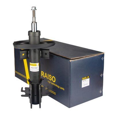 Амортизатор передній Raiso (Швеція) Opel Movano B, Опель Мовано В (2010-) #RS317422 UAKJEGS8 rs-2330 фото