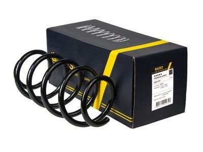 Пружина передня Raiso (Швеція) Opel Corsa C, Опель Корса Ц 00-09 #SF075TP UAPMYNV4 SF075TP фото