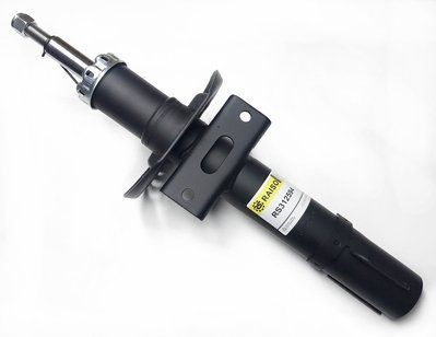 Амортизатор передний Raiso (Швеция) Skoda Roomster, Шкода Румстер 06- #RS312594 UAKTWIA4 RS312594 фото