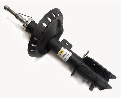 Амортизатор передній правий Raiso (Швеція) Пежо Експерт Peugeot Expert 2007--> #RS314032 UASFEHN4 RS314032 фото