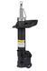 Амортизатор передній лівий Raiso (Швеція) Hyundai i30, Хюндай ай30 07-12 #RS314010 UAYZHJO4 RS314010 фото 2