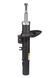 Амортизатор передній лівий Raiso (Швеція) Peugeot 207 (47 mm), Пежо 207 06- #RS313671 UAXXHFE4 RS313671 фото 3
