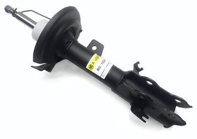 Амортизатор передній лівий Raiso (Швеція) Форд Фієста 6 Ford Fiesta VI 08- #RS315241 UANZMXV8 rs-2701 фото