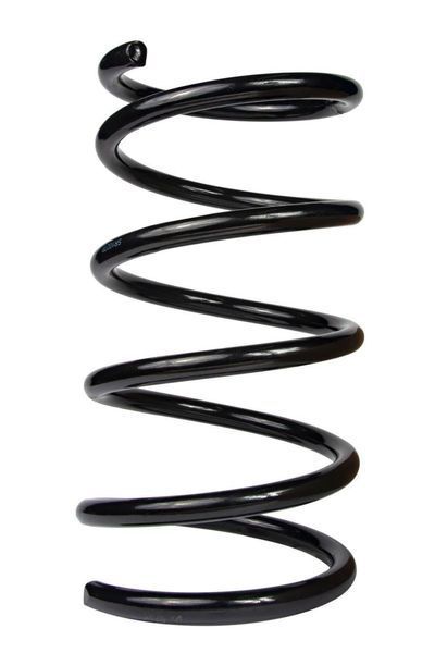 Пружина передня Raiso (Швеція) Hyundai Santa Fe II, Хюндай Санта Фе 2 2006-2012 #SF102TP UACXZWJ4 SF102TP фото