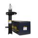 Амортизатор передний левый Raiso (Швеция) Fiat Freemont, Фиат Фримонт 11- #RS315641 UAFZMIG4 RS315641 фото 1
