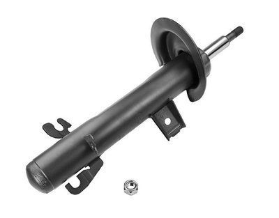 Амортизатор передний правый Raiso (Швеция) Mini Cooper R50, Мини Купер Р50 01-06 #RS290236 UANXSJX4 RS290236 фото